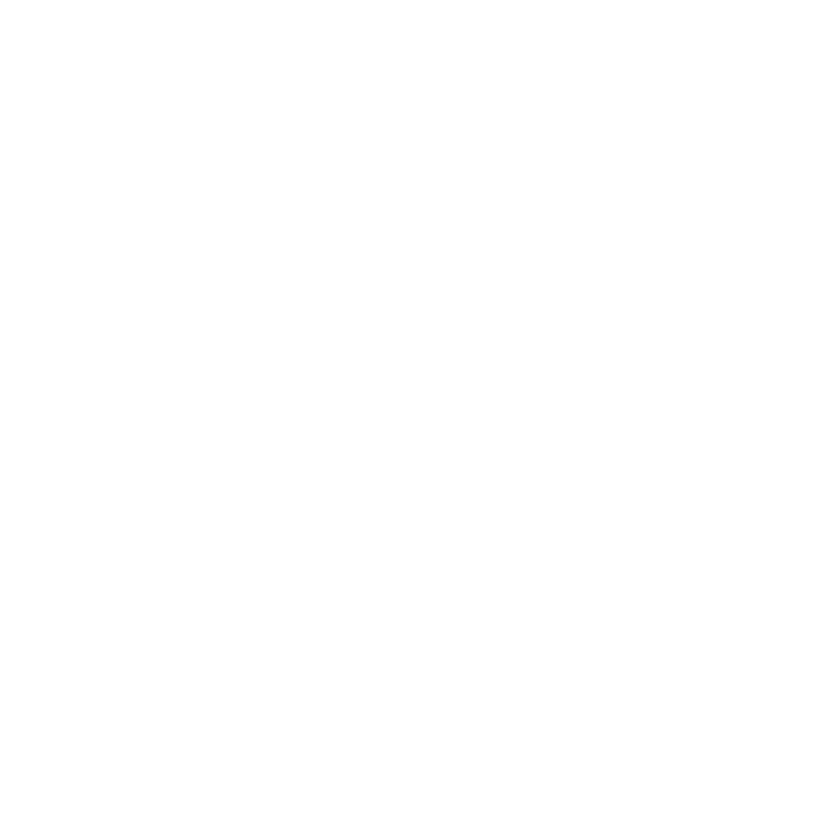footer logo pier6